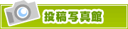 投稿写真館 | タウンガイド四日市